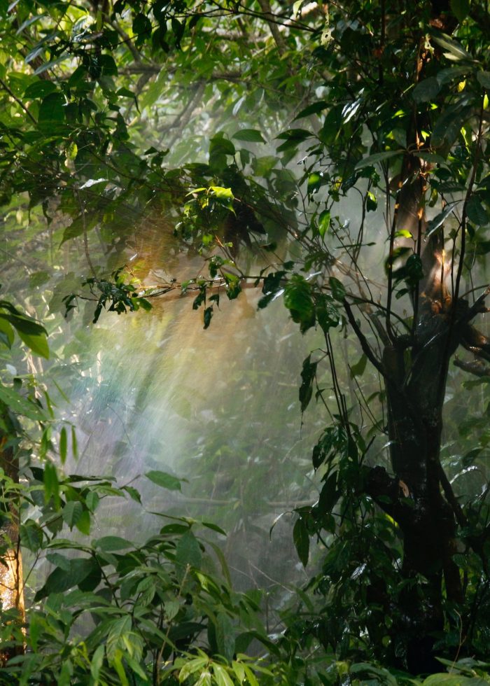 pexels-nandhu-kumar-339614